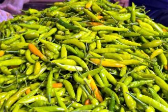 green chili